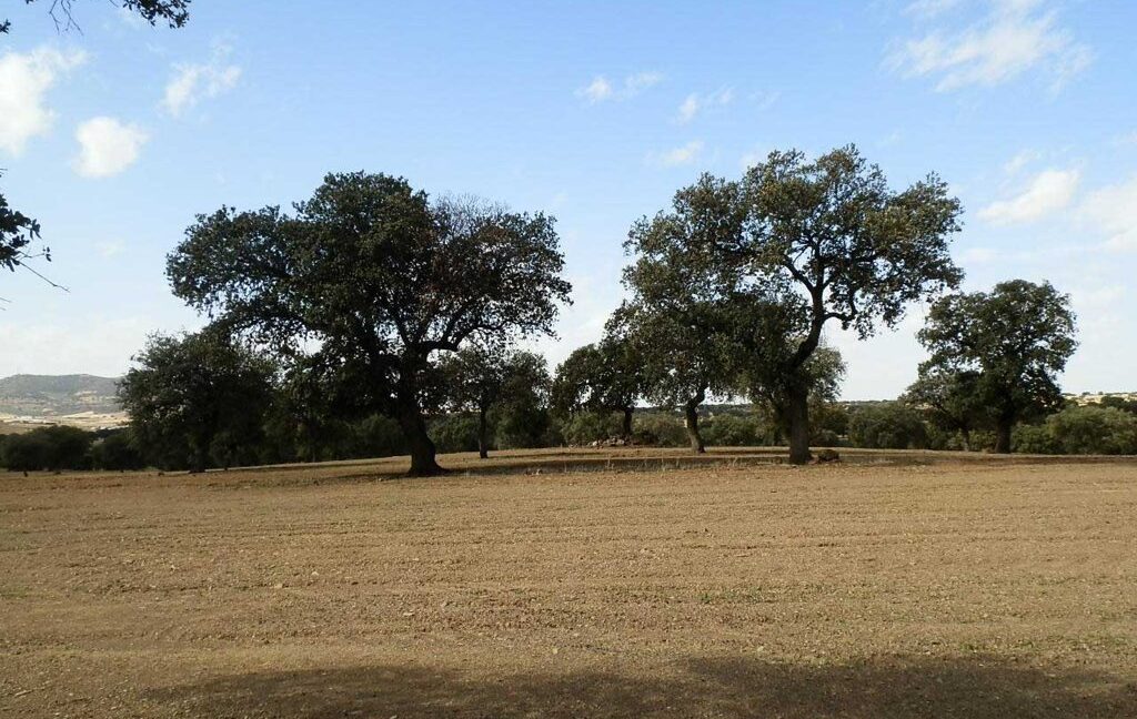 589_fincas-en-venta-27