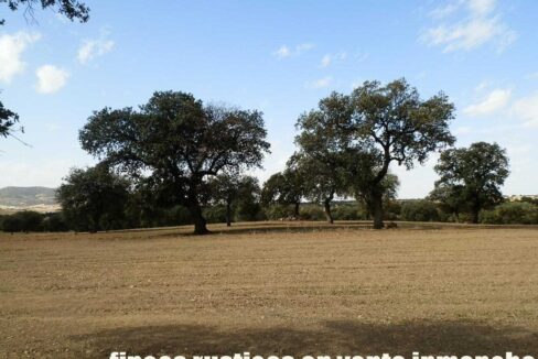 589_fincas-en-venta-27