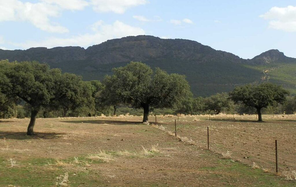 589_fincas-en-venta-29