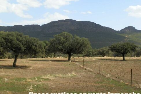 589_fincas-en-venta-29