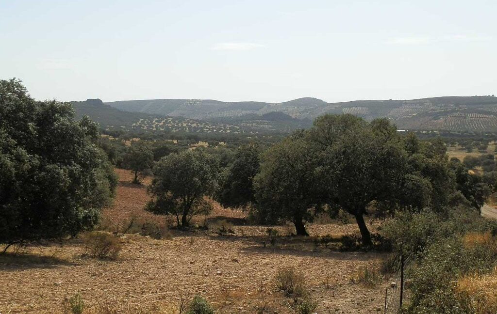 589_fincas-en-venta-34