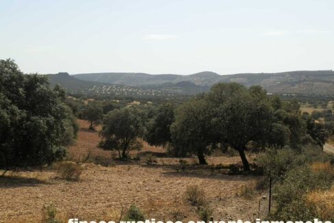 589_fincas-en-venta-34