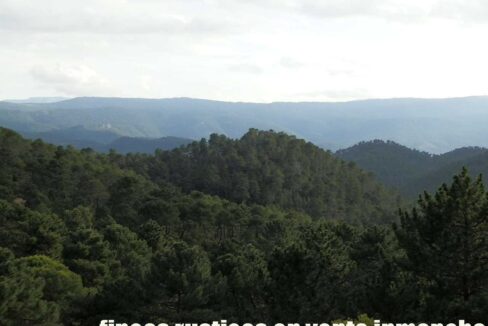 590_fincas-en-venta-009