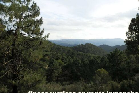 590_fincas-en-venta-010