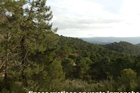 590_fincas-en-venta-011