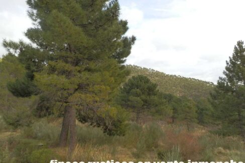 590_fincas-en-venta-012