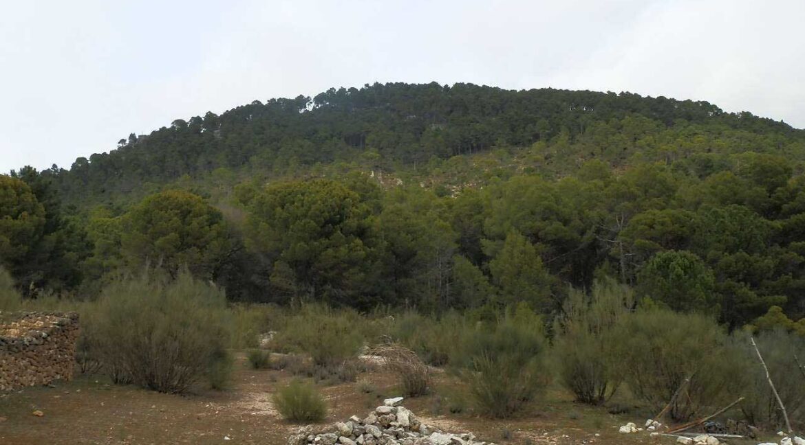 590_fincas-en-venta-015