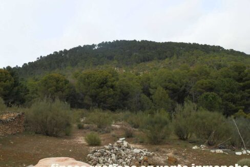 590_fincas-en-venta-015