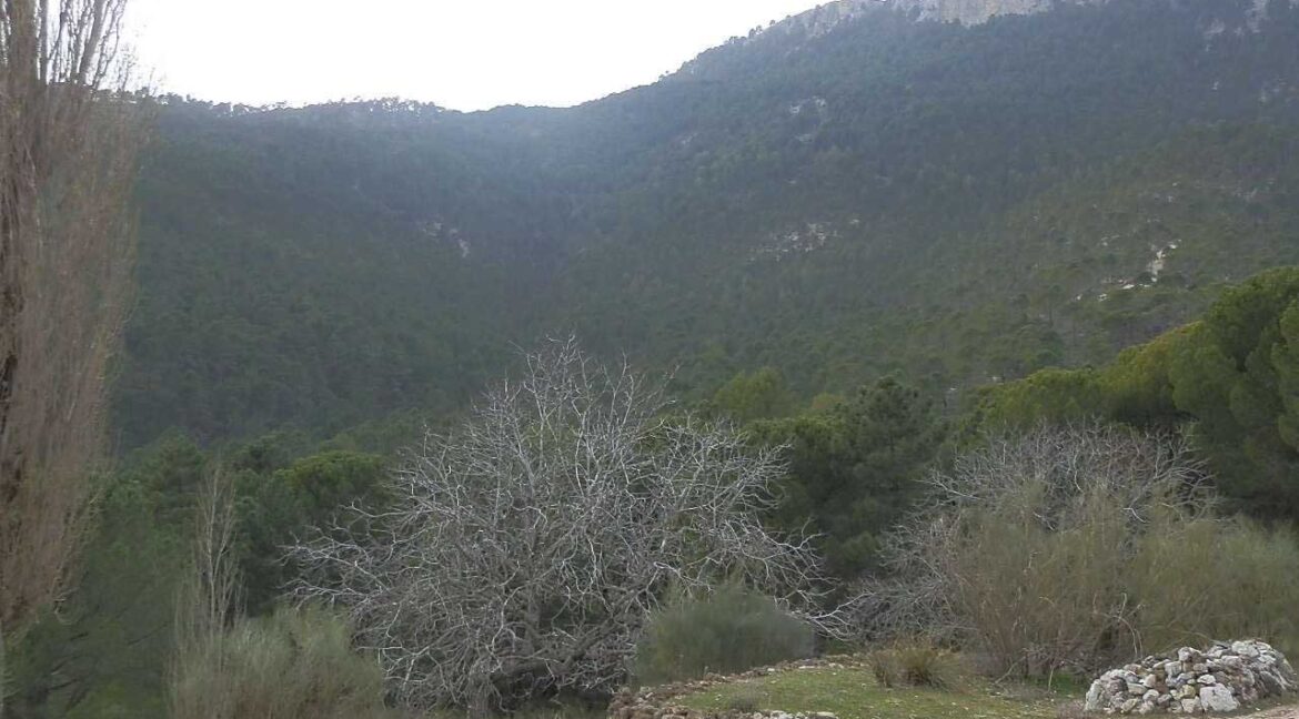 590_fincas-en-venta-016