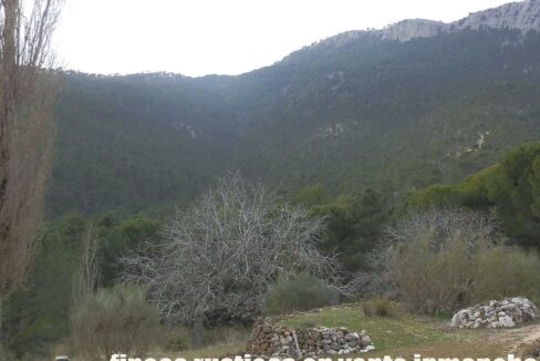 590_fincas-en-venta-016