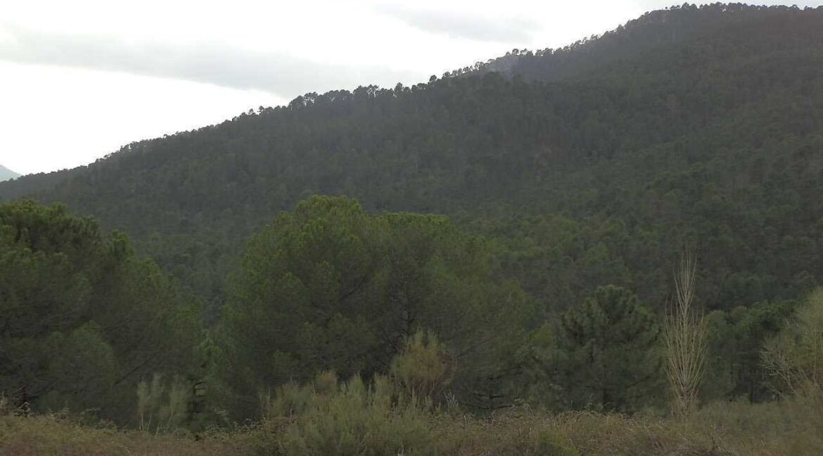 590_fincas-en-venta-017