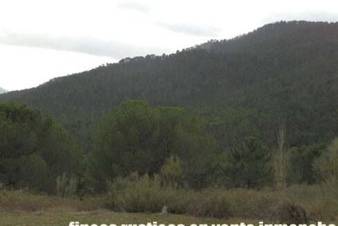 590_fincas-en-venta-017