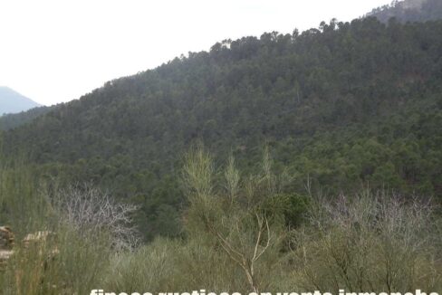 590_fincas-en-venta-019