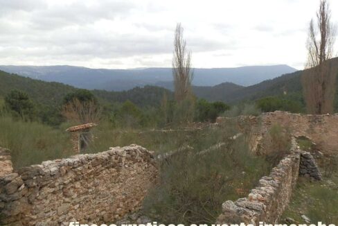 590_fincas-en-venta-020