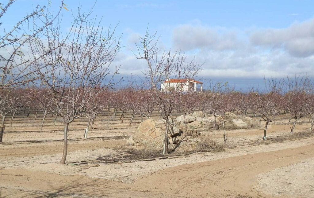 591_fincas-en-venta-038