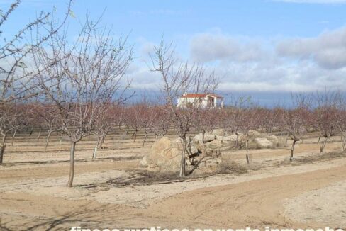 591_fincas-en-venta-038