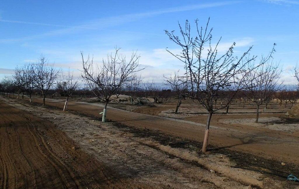 591_fincas-en-venta-039