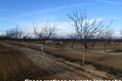 591_fincas-en-venta-039