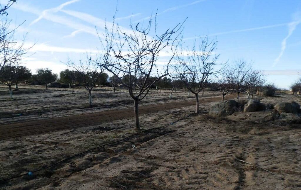 591_fincas-en-venta-040