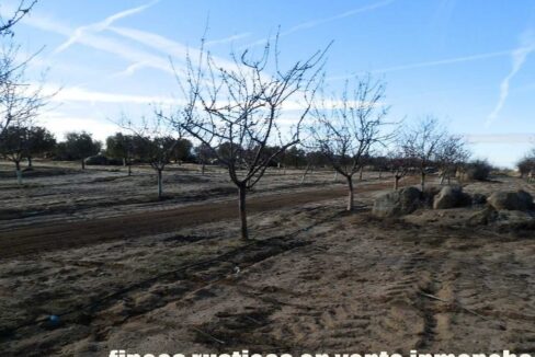 591_fincas-en-venta-040