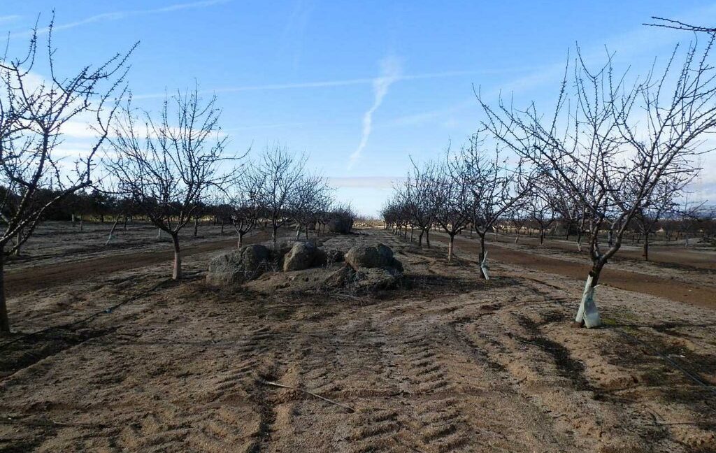 591_fincas-en-venta-041