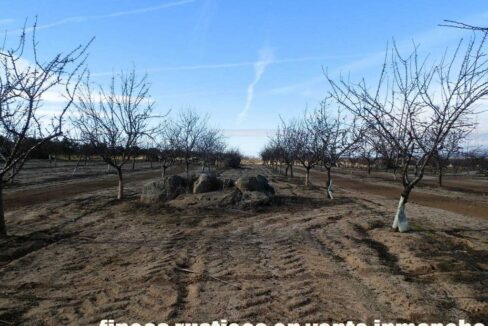 591_fincas-en-venta-041