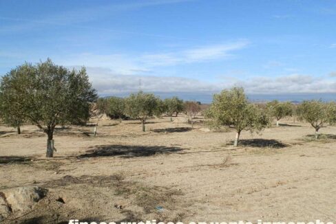 591_fincas-en-venta-042