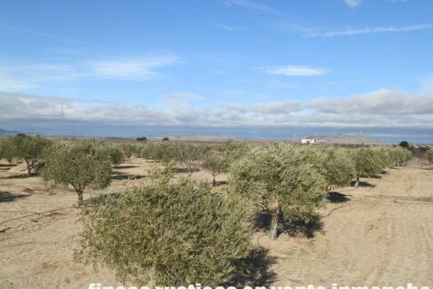 591_fincas-en-venta-044