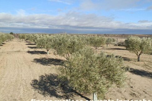 591_fincas-en-venta-045