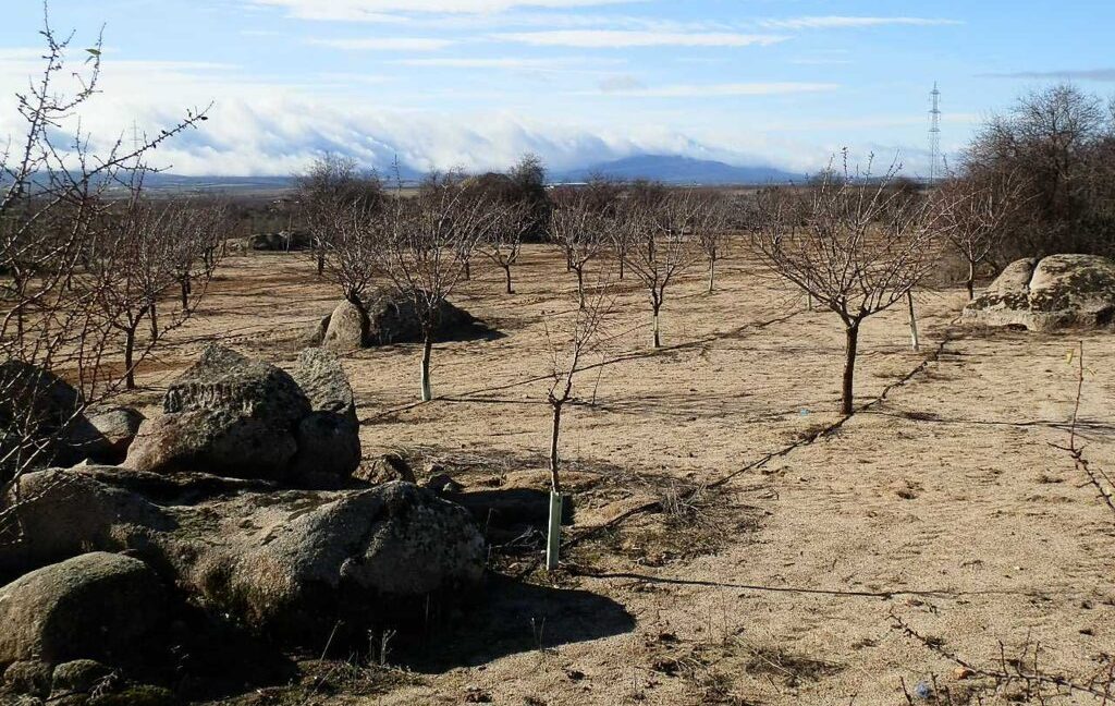 591_fincas-en-venta-046