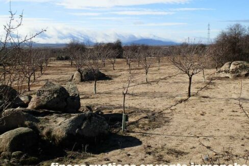 591_fincas-en-venta-046