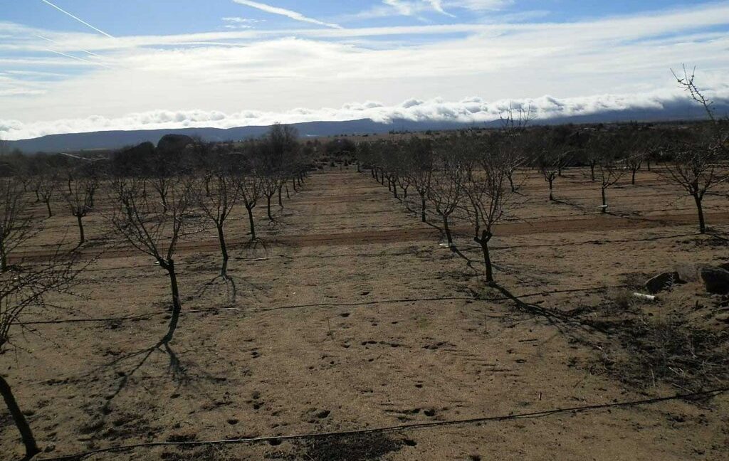 591_fincas-en-venta-047