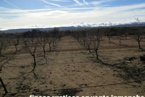 591_fincas-en-venta-047