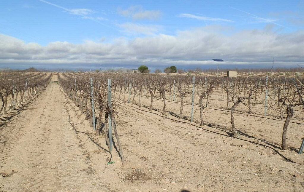 591_fincas-en-venta-051