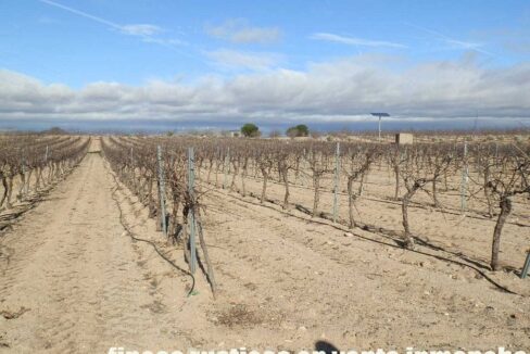 591_fincas-en-venta-051