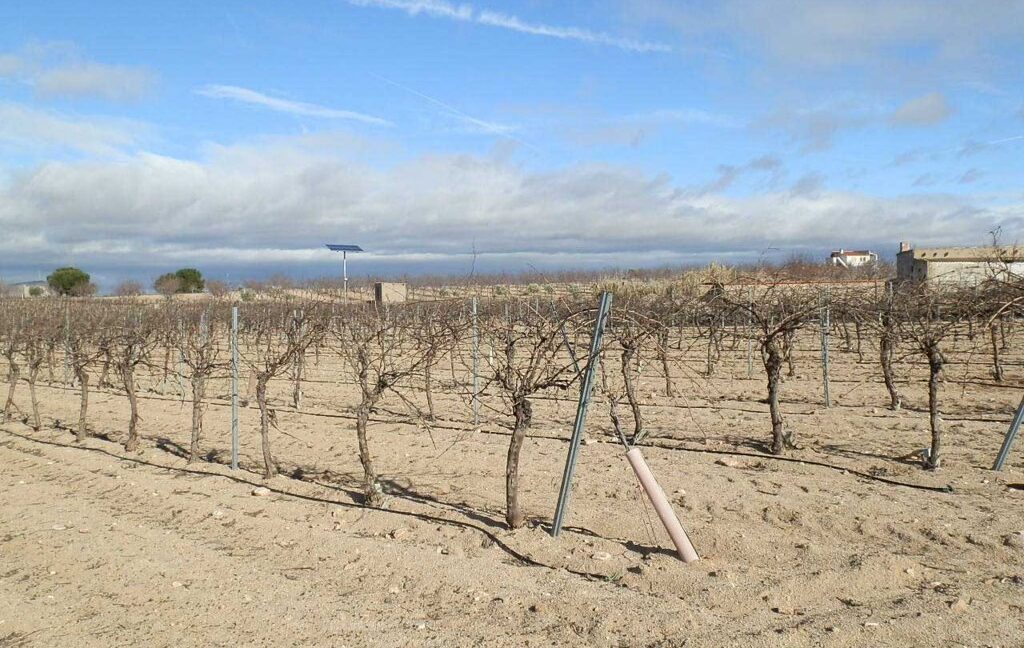 591_fincas-en-venta-052
