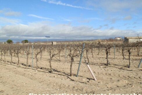 591_fincas-en-venta-052