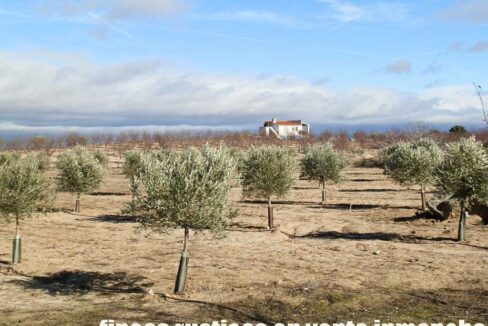 591_fincas-en-venta-055