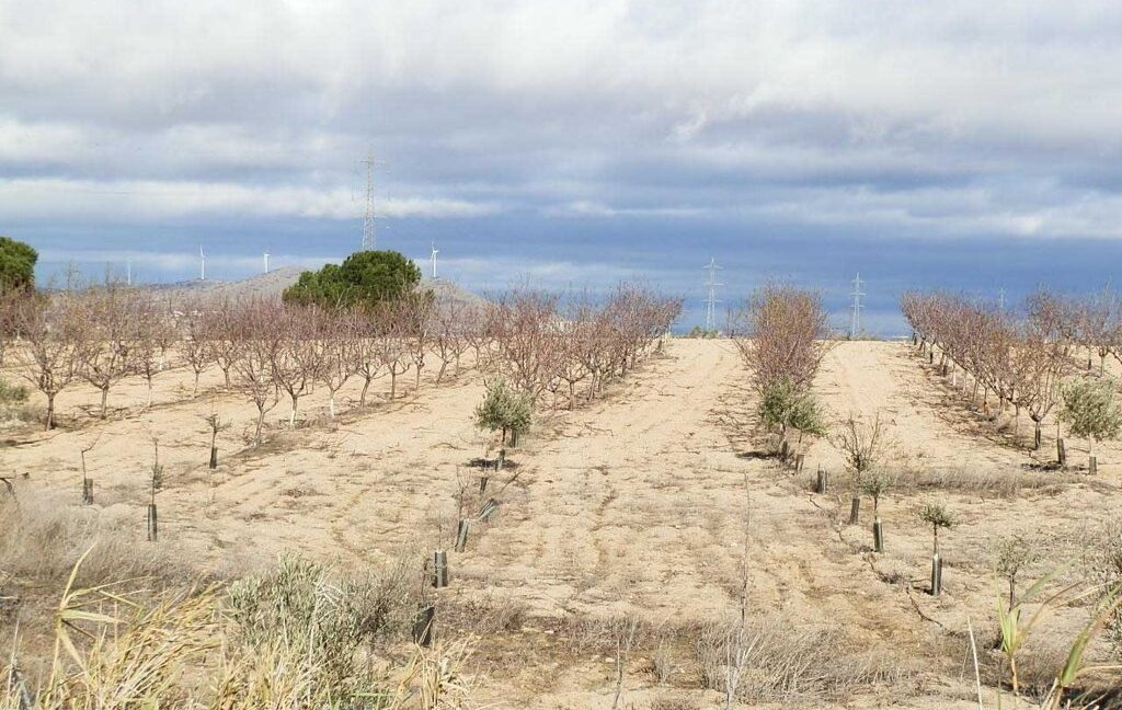 591_fincas-en-venta-057