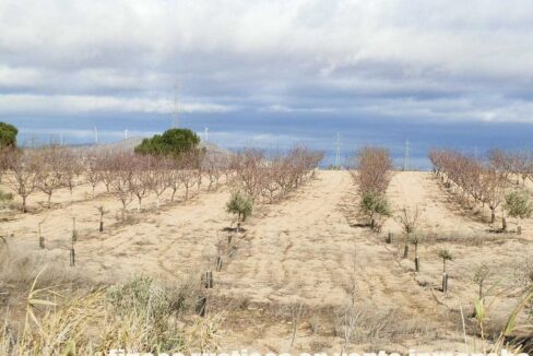 591_fincas-en-venta-057