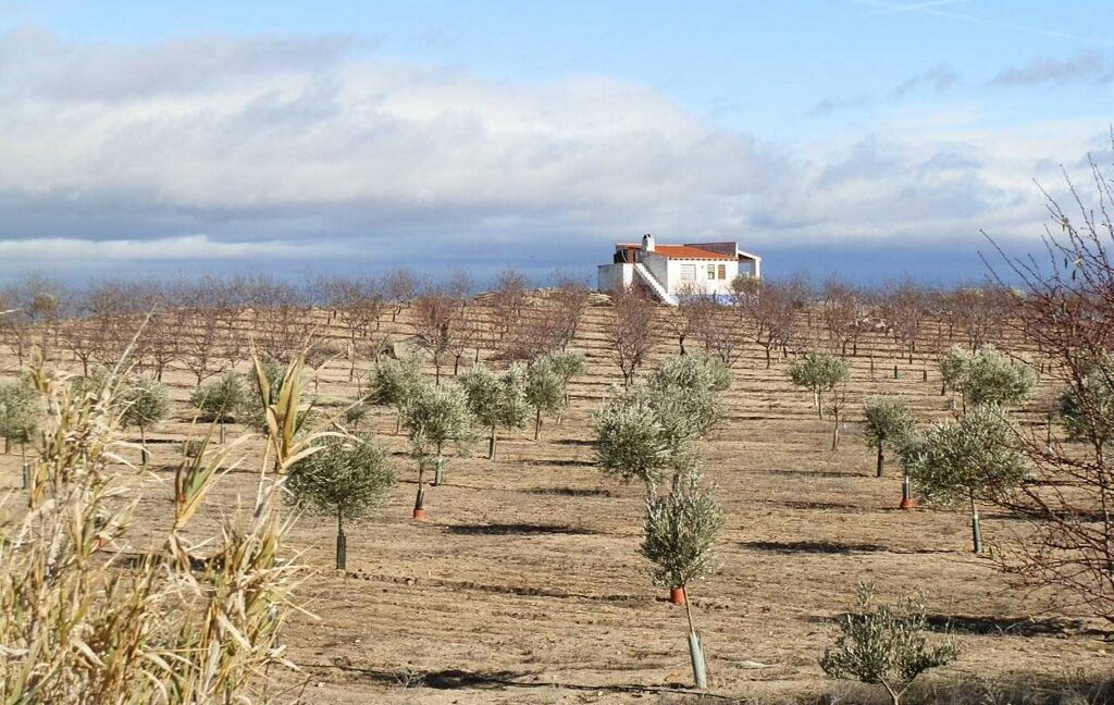 591_fincas-en-venta-058