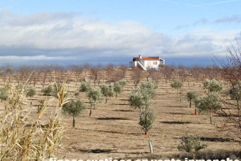 591_fincas-en-venta-058