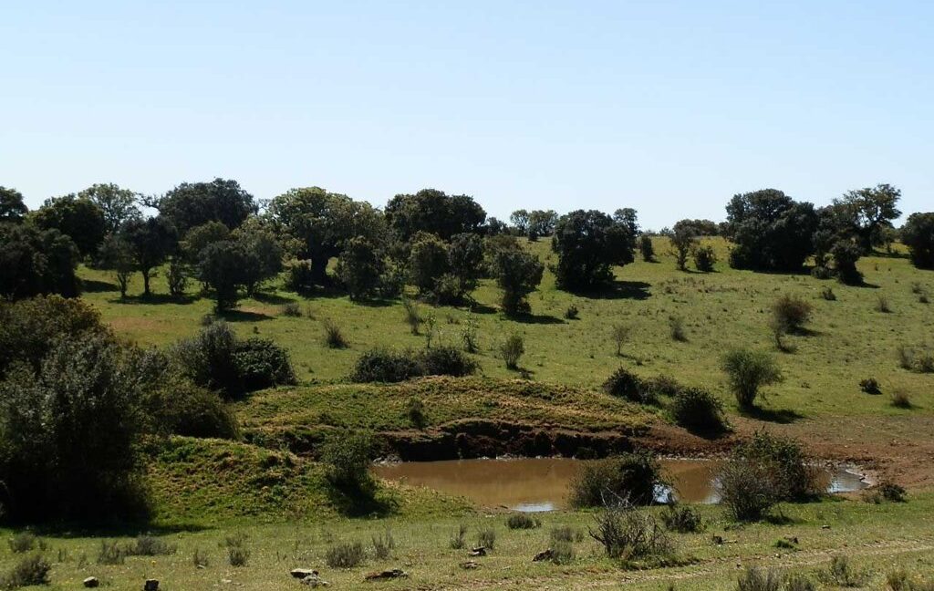 600_fincas-en-venta-003