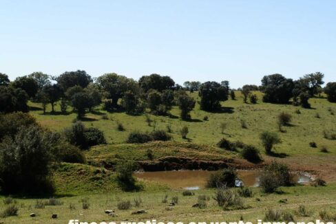 600_fincas-en-venta-003
