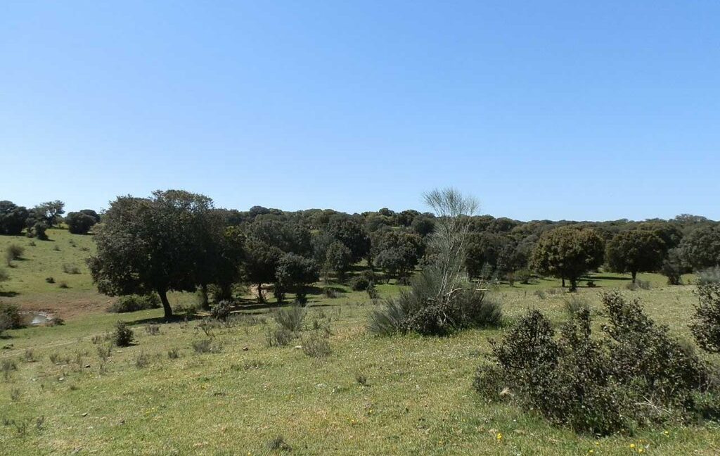 600_fincas-en-venta-004