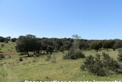 600_fincas-en-venta-004