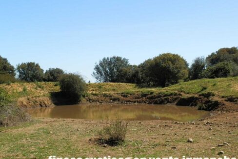 600_fincas-en-venta-006