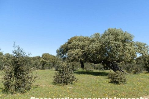 600_fincas-en-venta-008