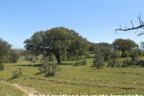 600_fincas-en-venta-009