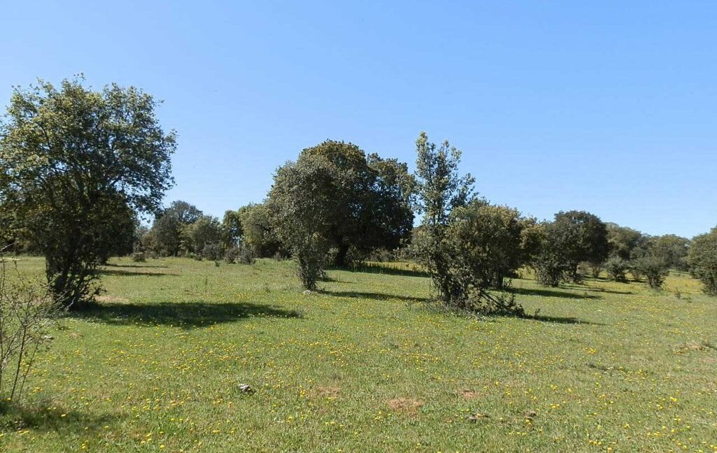 600_fincas-en-venta-011